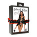 Mesh & Lace Bra & Thong Set