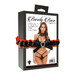 Mesh Bra & Panty Set With Lace Choker