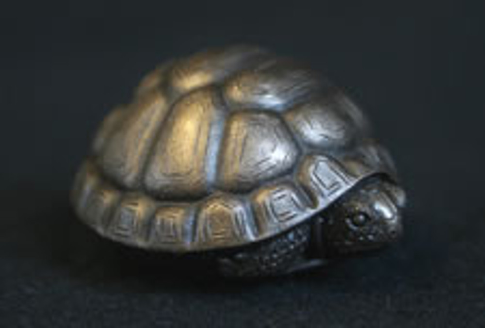 Tortoise Palm Charm, Bronze