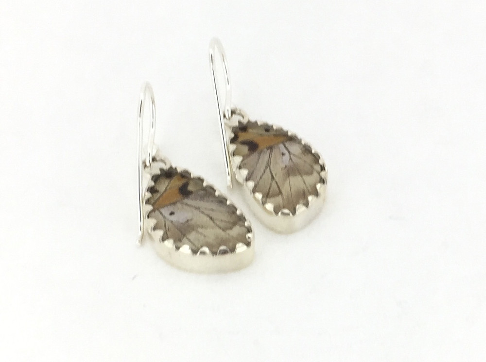 Cherubina Butterfly Wing Earrings (X-Small)