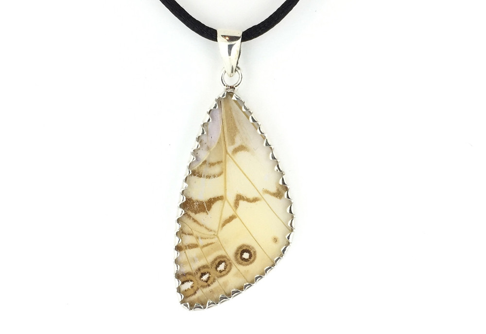 Morpho, Sulkowskyi Butterfly Wing Pendant (Large)