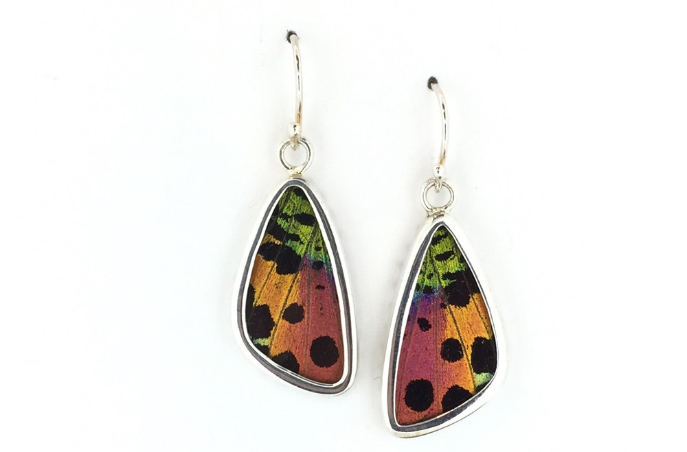 Madagascar Sunset Moth Wing Earrings (Small)