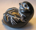 Chick  Palm Charm (Bert), Ebony