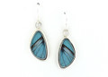 Morpho, Didius Butterfly Wing Earrings (X-Small)