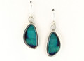 Cherubina Butterfly Wing Earrings (X-Small)