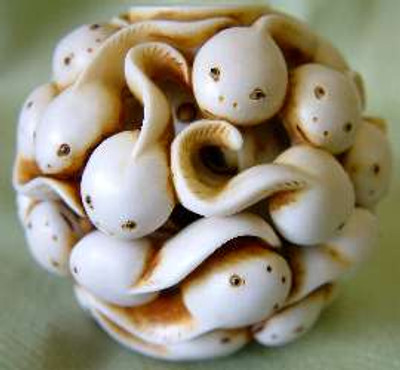 Adam Binder Editions Products - Mima's Of Warwick, LLC