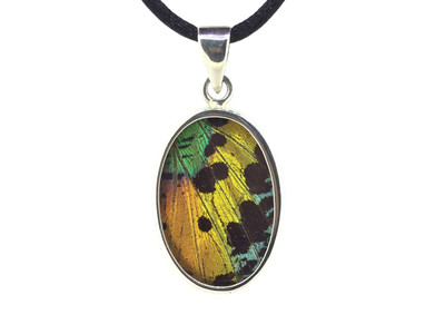 Madagascar Sunset Moth Wing Oval Pendant (Medium)