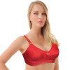 Plus Size Cotton Thin Strap Embroidered Bra - Hiffey