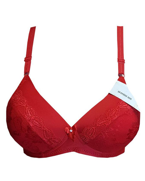 Pushup Padded Net Embroidered Bra - Red at Hiffey .pk