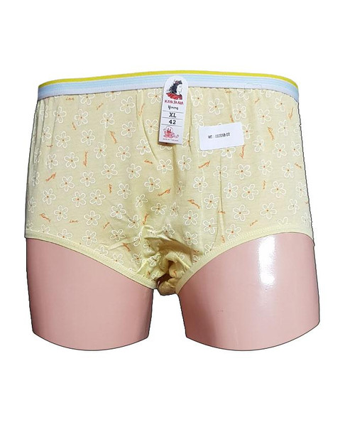 Small Flower Printed Girls Panty - Light Yellow at Hiffey .pk