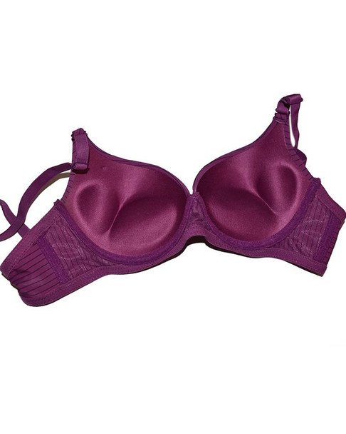 Sister Hood Wired Plunge Padded Push Up Bra - Purple