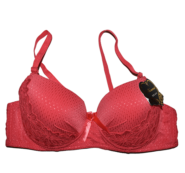 Bridal Collection Wired Push Up Padded Bra Panty Set for Women - Pink at Hiffey .pk