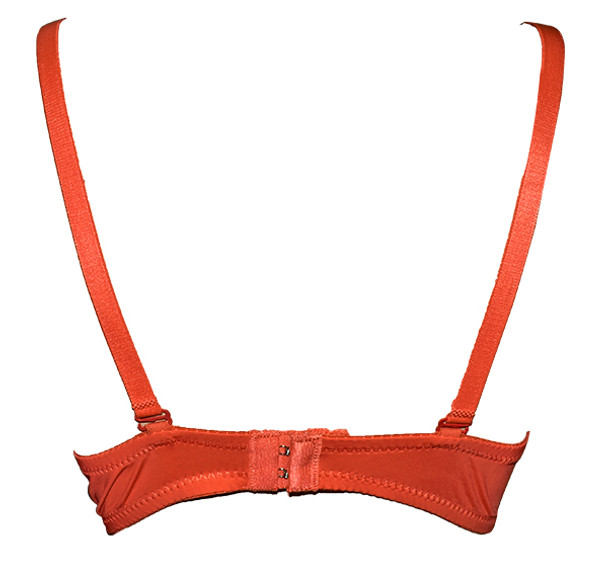 Rose Painted Design Padded Wired Bra - Orange