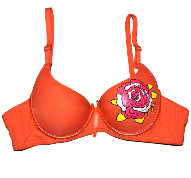 Rose Painted Design Padded Wired Bra - Orange