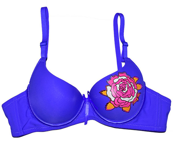 Rose Painted Design Padded Wired Bra - Blue - Hiffey