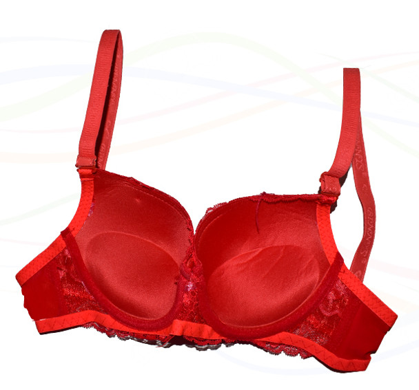 Sheer Bralette Padded Wired Bra and Panty Set - Red