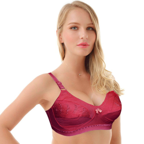 Plus Size Cotton Thin Strap Embroidered Bra - Hiffey