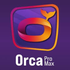 Orca Pro Max Abonnement ORCA PRO MAX 12 MOIS