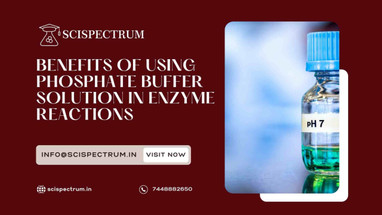 Phosphate Buffer Solution: The Unsung Hero of Enzyme Reactions