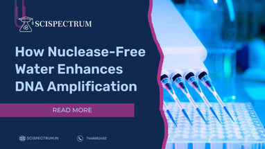 The Unsung Hero of DNA Amplification: Why Nuclease-Free Water Matters