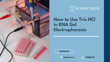 Tris HCl in RNA Gel Electrophoresis: A Comprehensive Guide
