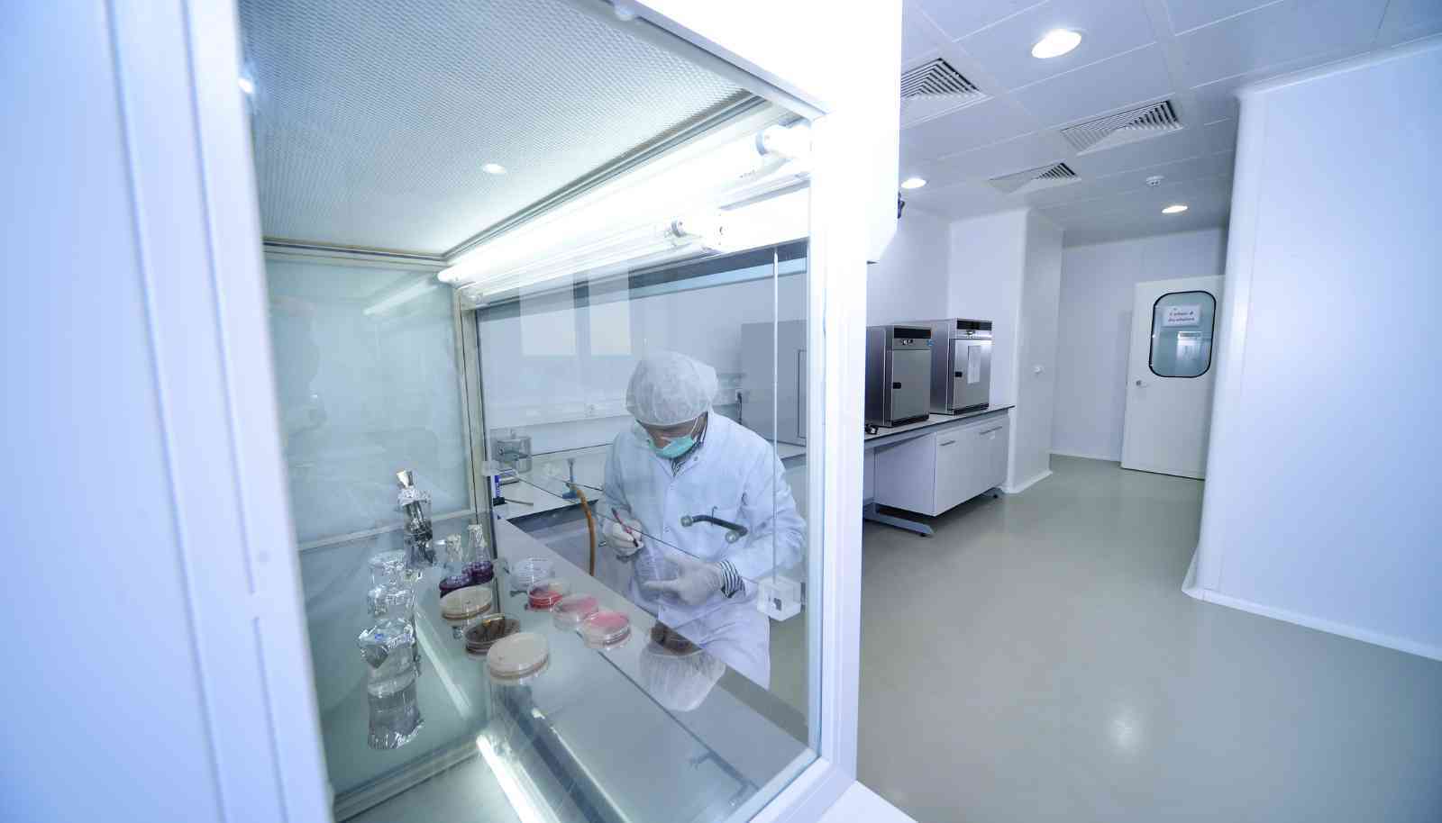 Fume Hood