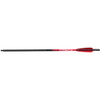 Barnett Demun C10 Hyperbolts 10 In. 6 Pk.