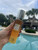 Honey Gleam Cream Mega Moisture Dewy Mineral Mask