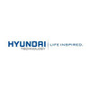 Hyundai 256 GB Solid State Drive - M.2 2280 Internal - PCI Express NVMe
