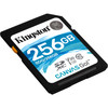 SDG/256GB