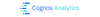 IBM-Cognos02