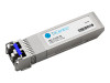 CPAC-DP-10SR-SFP