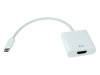 USB31C-HDMIF-1