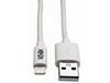 10ft Lightning USB/Sync Charge Cable forAppleIphone / Ipad White 10 ft