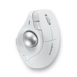Kensington Pro Fit Ergo Trackball - K75263WW