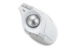 Kensington Pro Fit Ergo Trackball - K75263WW