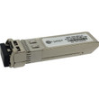 FGVSFP-SR
