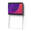 CS-BRD55P-WS