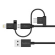 Belkin MICAC CHGR2.1AUVSW4 MICROUSB CBLBLU - F8M667TT04-BLU