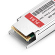 EXNFIB402PFH