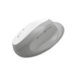 Kensington Pro Fit Ergo Wireless Mouse-Gray - K75405WW