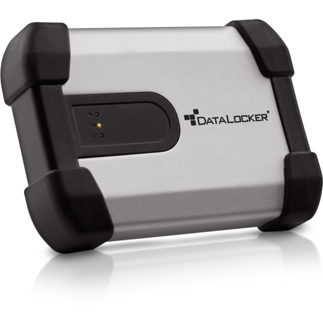 DataLocker H350 Enterprise 1 TB 2.5" External Hard Drive