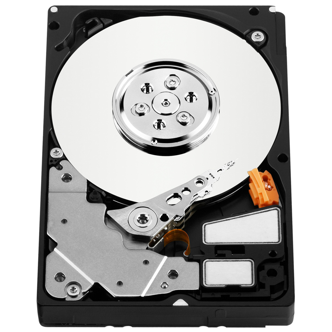 WD3000BLFS