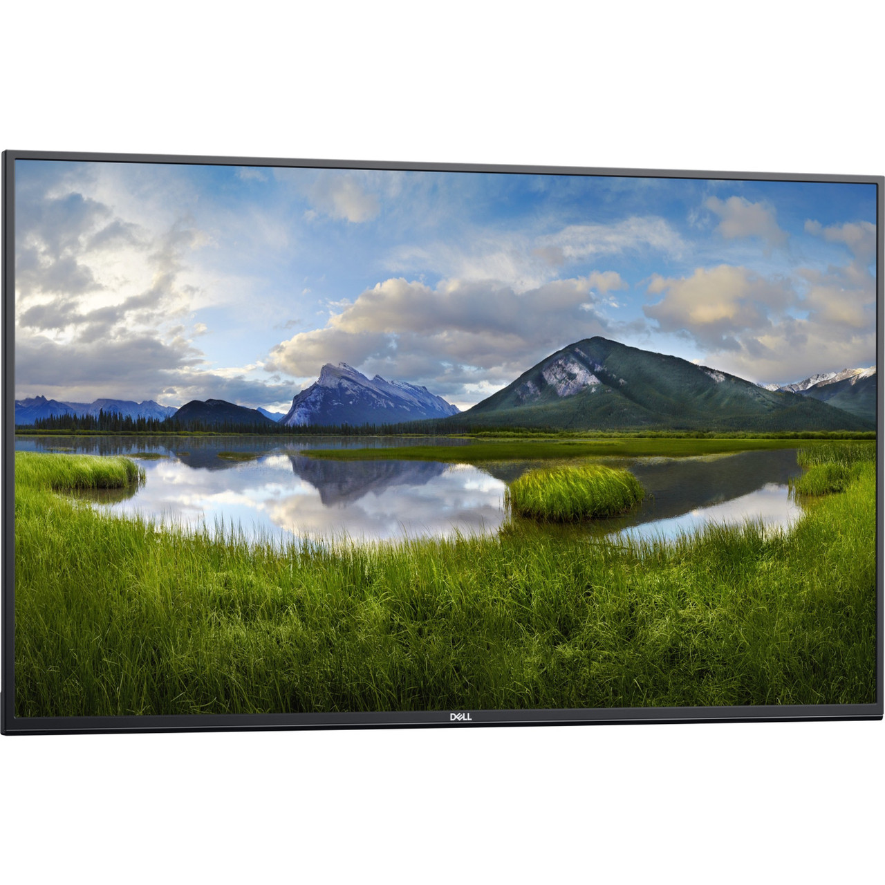 Dell C5519Q 54.6" 4K UHD LED LCD Monitor - 16:9 - 210-AREV