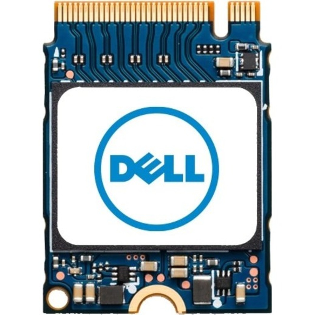 Dell 256 GB Rugged Solid State Drive - M.2 2230 Internal - PCI Express NVMe (PCI Express NVMe 4.0 x4) - SNP223G43/256G