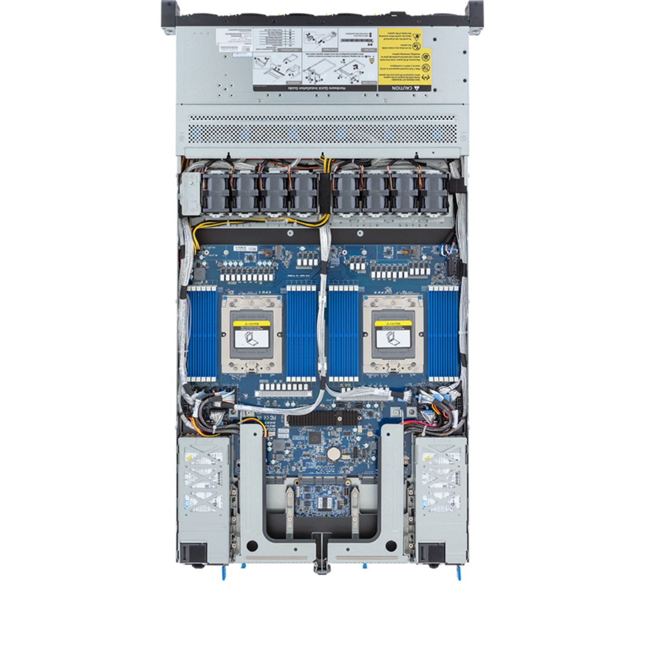 R183-Z94-AAV2