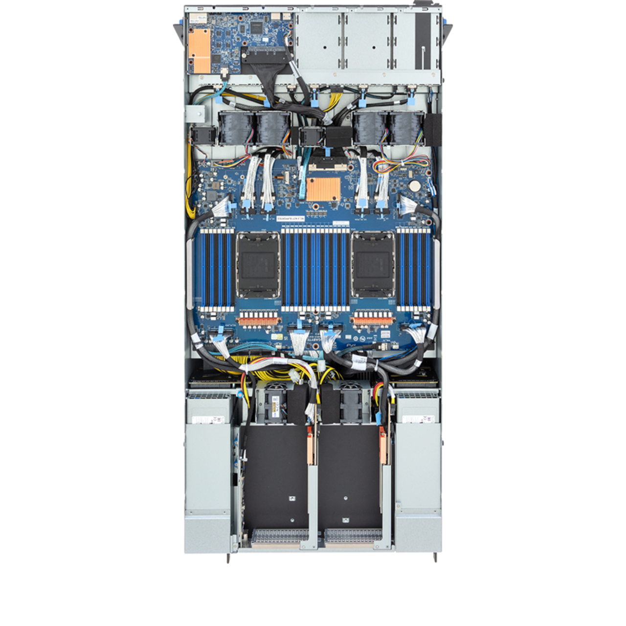 G593-SD1- AAX3