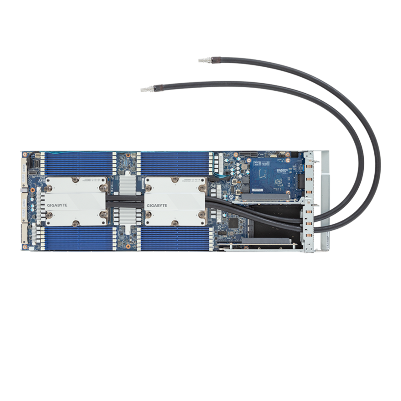 H273-Z81-LAN1