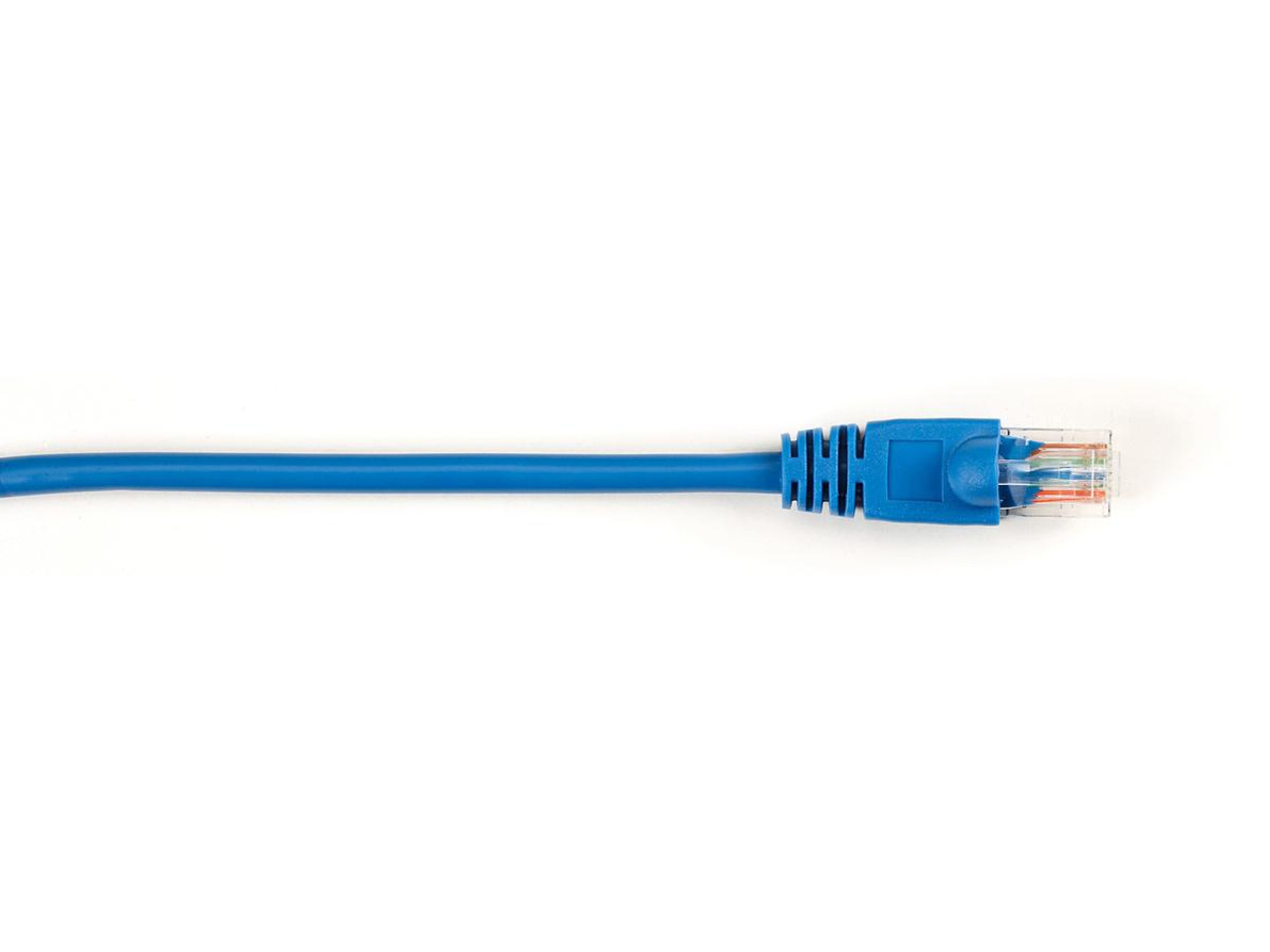 CAT5EPC-002-BL-25PAK