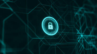 Bogus Bug Reports as Phishbait, Scams